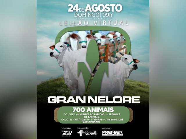 Leilão Virtual Gran Nelore