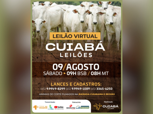 Leilão Virtual Cuiabá Leilões