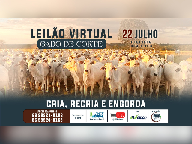 Leilão Virtual Gado de Corte