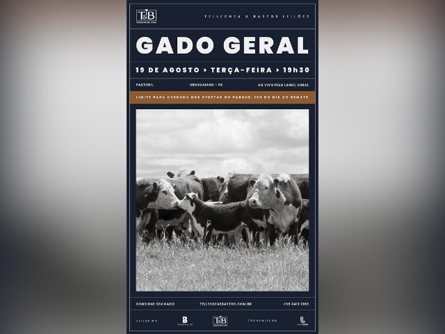 Remate Gado Geral TB