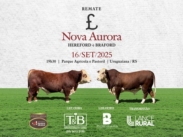 Remate Nova Aurora