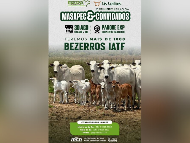 1º Leilão Masapec e Convidados