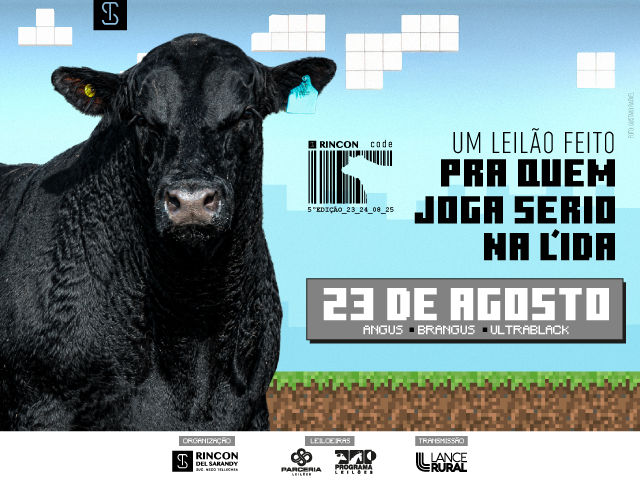 Rincon Code