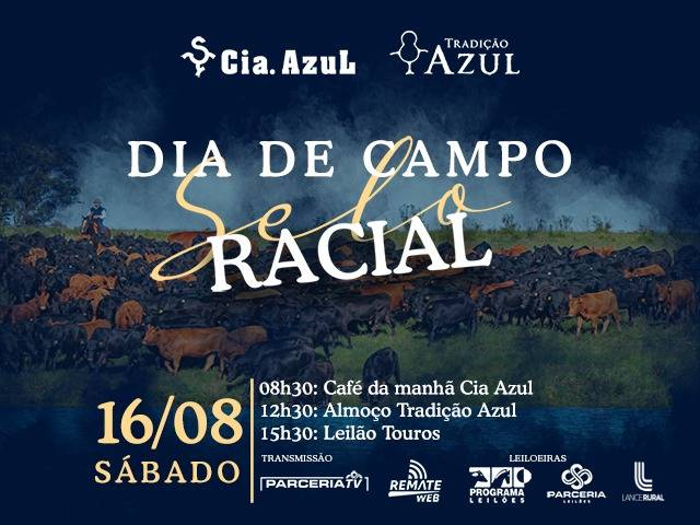 Dia de Campo Selo Racial