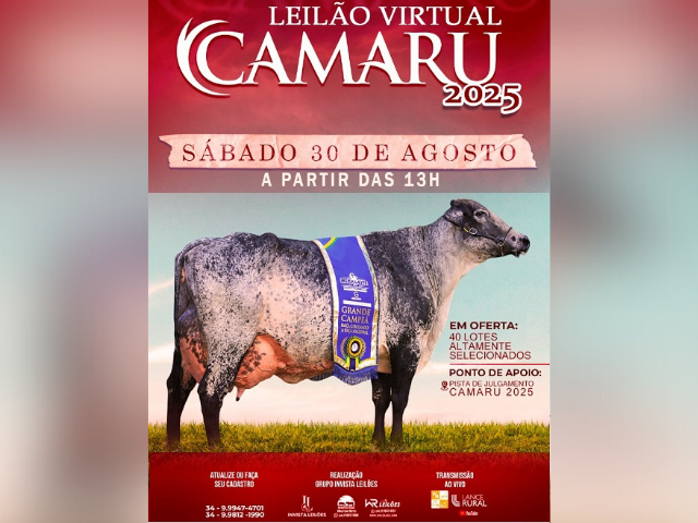 Leilão Virtual Camaru 2025