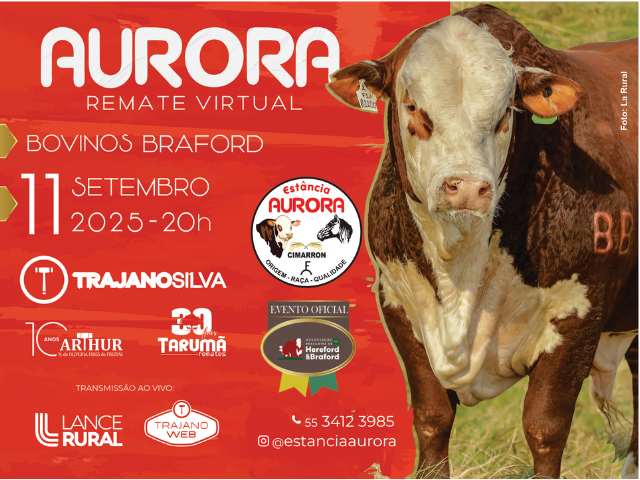 Remate Virtual Braford Aurora