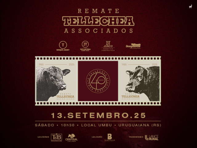 Remate Tellechea e Associados