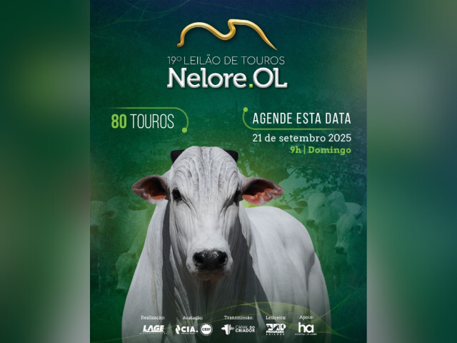 19° Leilão de Touros Nelore OL