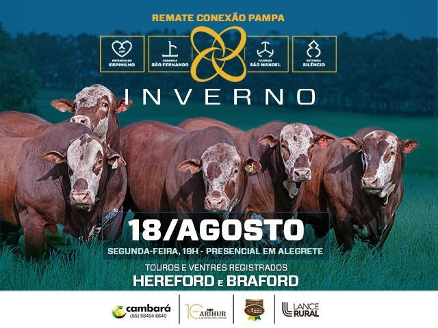 Conexão Pampa Inverno