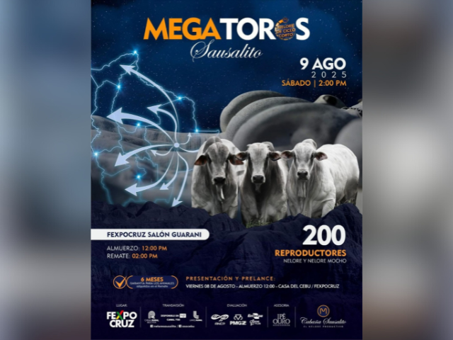 Remate Mega Toros Sausalito