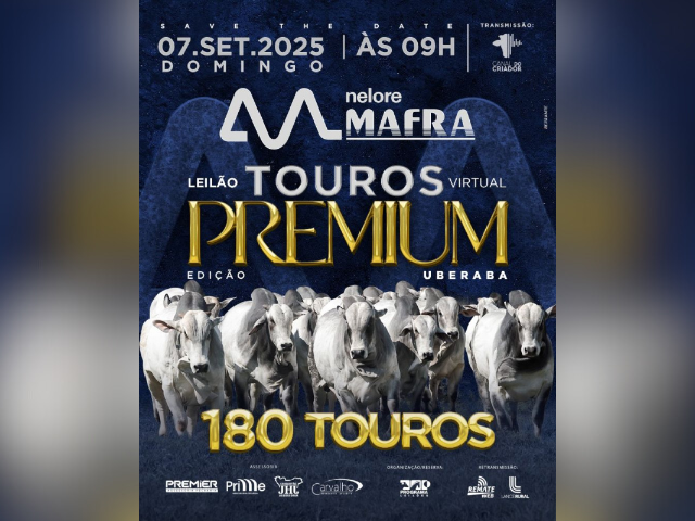Leilão Virtual Nelore Mafra Touros Premium – Edição Uberaba