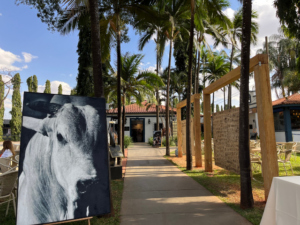 Arte na ExpoGenética: três destaques que encantaram o público