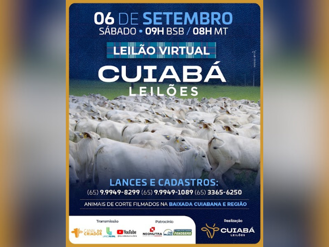 Leilão Virtual Cuiabá Leilões
