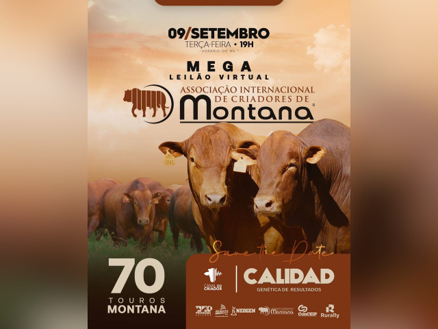 Mega Leilão Virtual Associação Internacional de Criadores de Montana