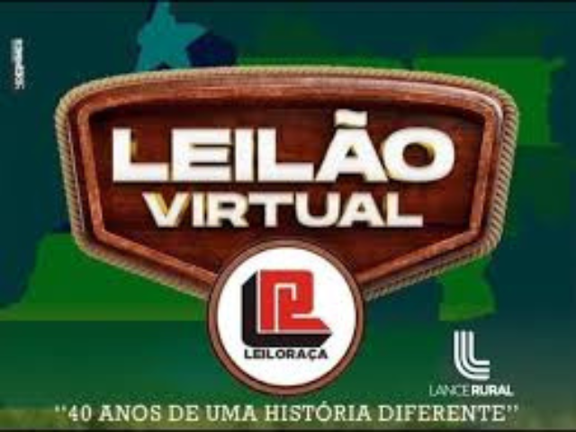 Leilão Virtual Leiloraça