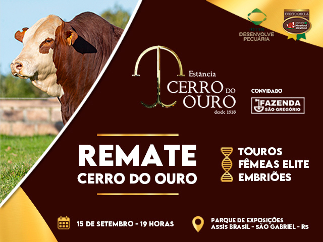 Remate Cerro do Ouro