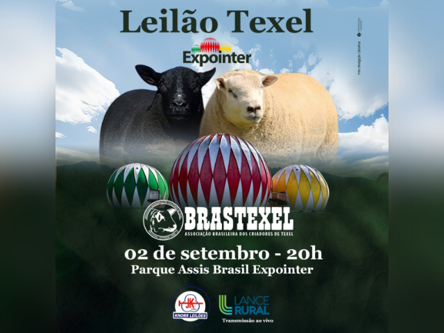 Leilão Brastexel Edição Expointer