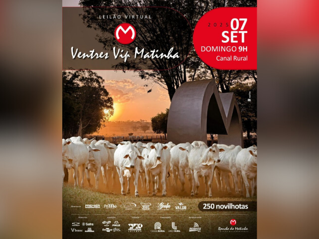 Leilão Virtual Ventres Vip Matinha