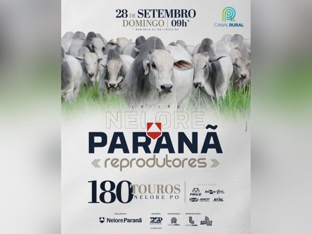 Leilão Nelore Paranã – Reprodutores