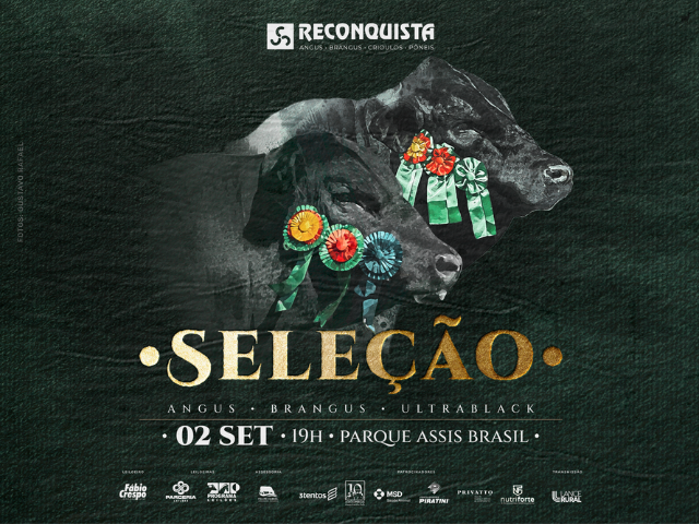 Leilão Seleção Reconquista