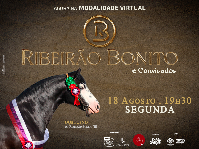 Leilão Virtual Ribeirão Bonito & Convidados