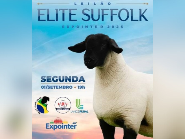 Leilão Elite Suffolk Expointer