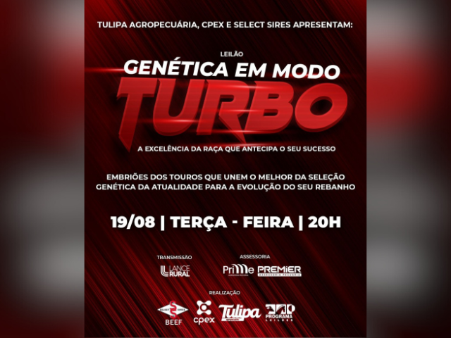 Leilão Genética em Modo Turbo