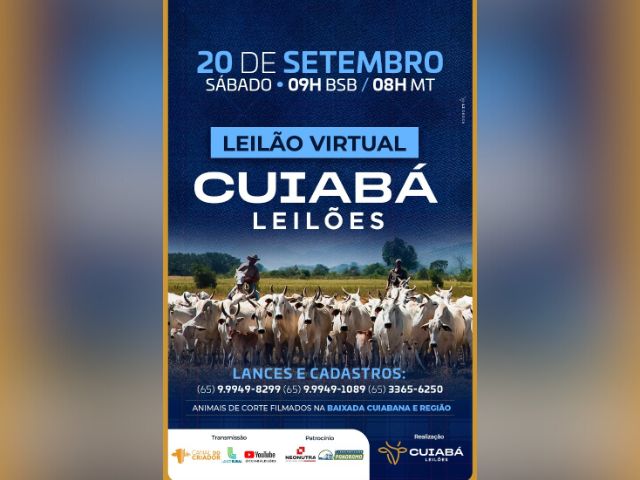 Leilão Virtual Cuiabá Leilões
