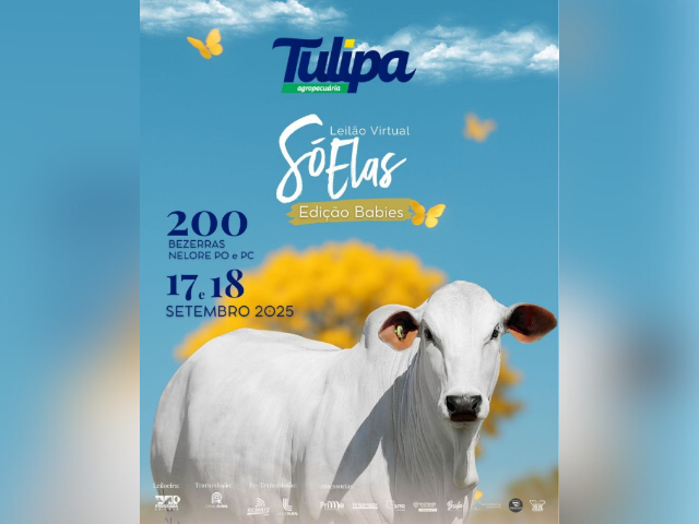 Leilão Virtual Só Elas – Edição Babies Tulipa