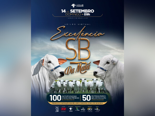 Leilão Excelência SB da Mata