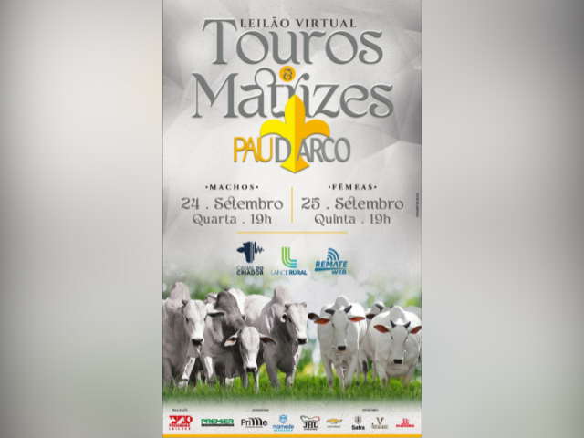 Leilão Virtual Touros e Matrizes Pau D’Arco