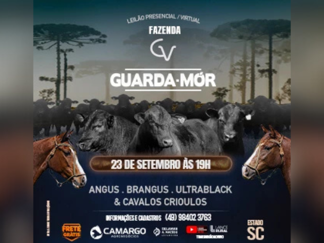Leilão Guarda Mor – Reprodutores