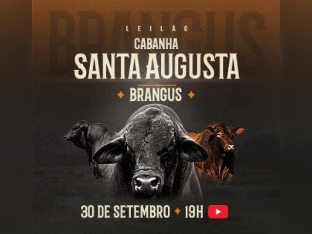 Leilão Cabanha Santa Augusta