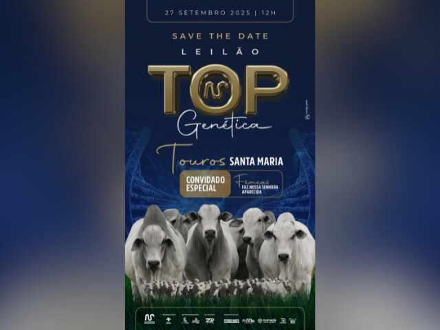 Leilão Top Genética Touros Santa Maria