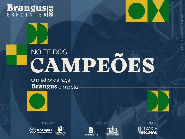 Noite dos Campeões