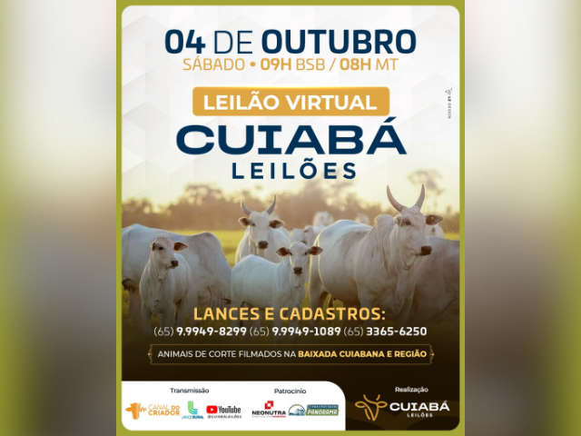 Leilão Virtual Cuiabá Leilões