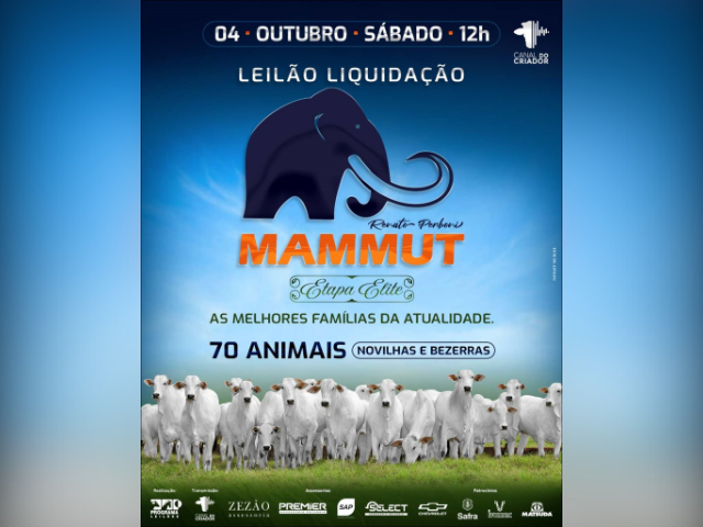 Leilão Liquidação Mammut – Etapa Elite