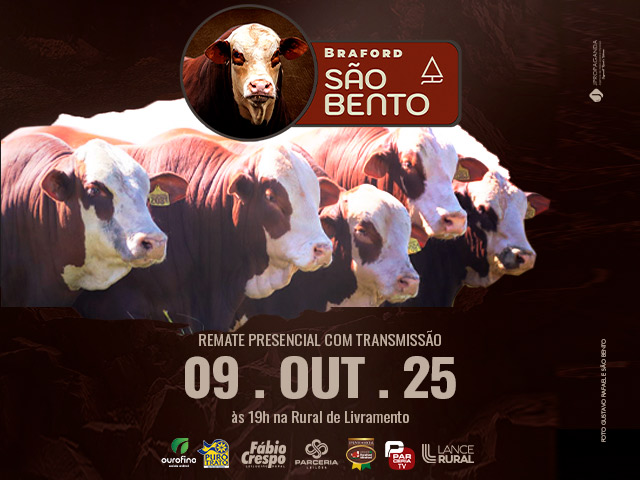 Remate Braford São Bento
