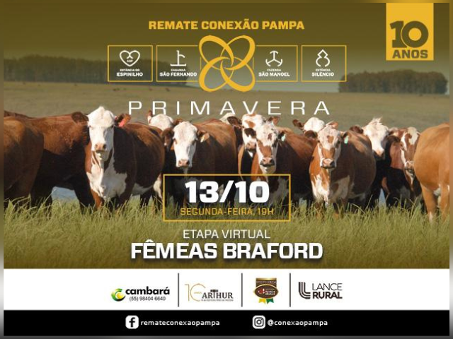 Conexão Pampa – Virtual Fêmeas Braford