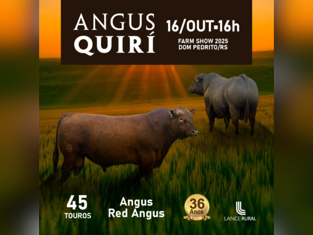 Remate Angus Quiri