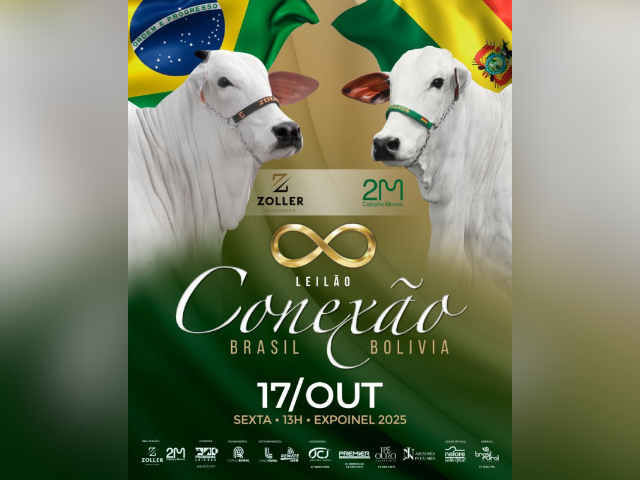 Leilão Conexão Brasil Bolívia