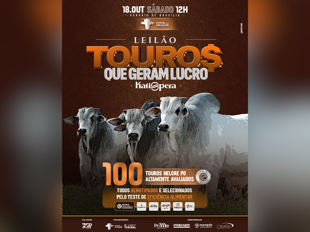 Leilão Touros que Geram Lucro Katispera