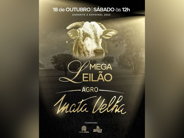 Mega Leilão Agro Mata Velha