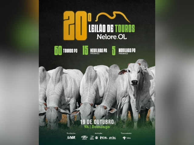 20º Leilão de Touros Nelore OL