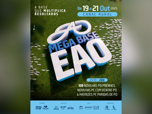 Leilão Mega Base EAO – Novilhas e Matrizes
