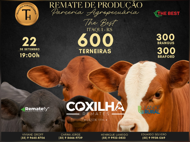 Remate de Produção Parceria Agropecuária – The Best