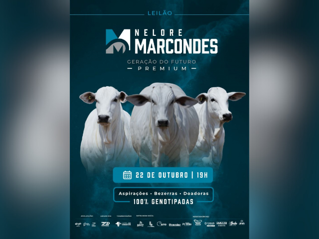 Leilão Nelore Marcondes – Geração do Futuro Premium