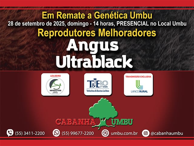 Leilão Umbu – Reprodutores Melhorados
