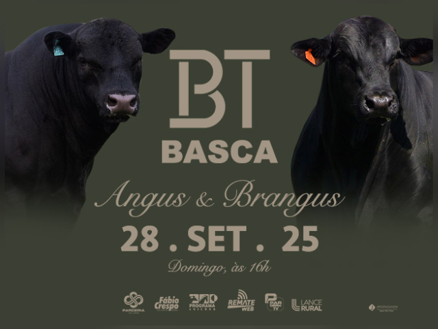 BT Basca Angus e Brangus