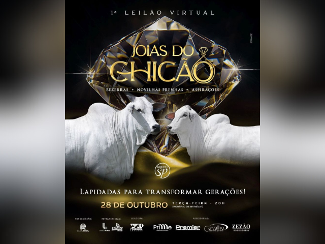 1º Leilão Virtual Jóias do Chicão